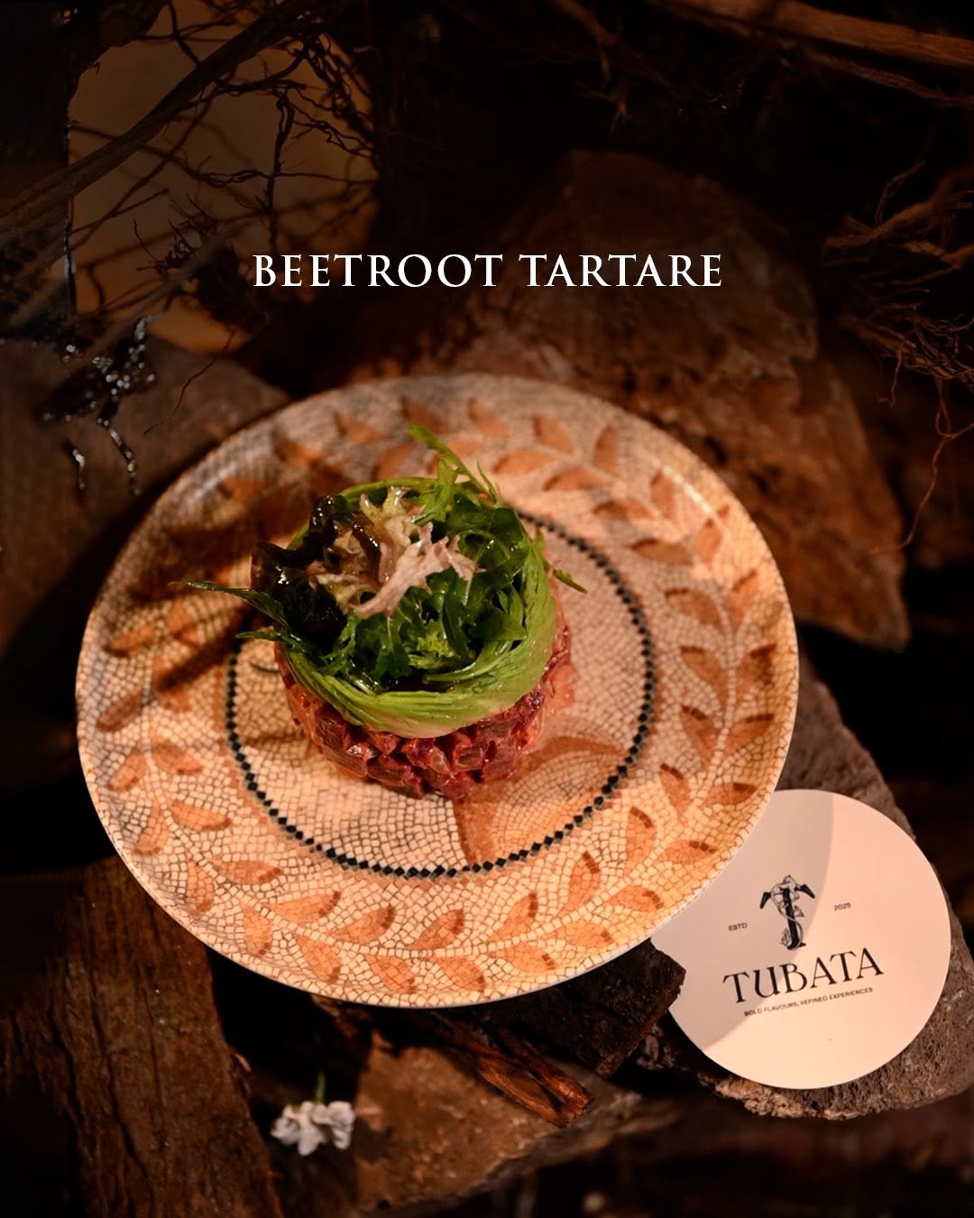 Menu1 at TUBATA