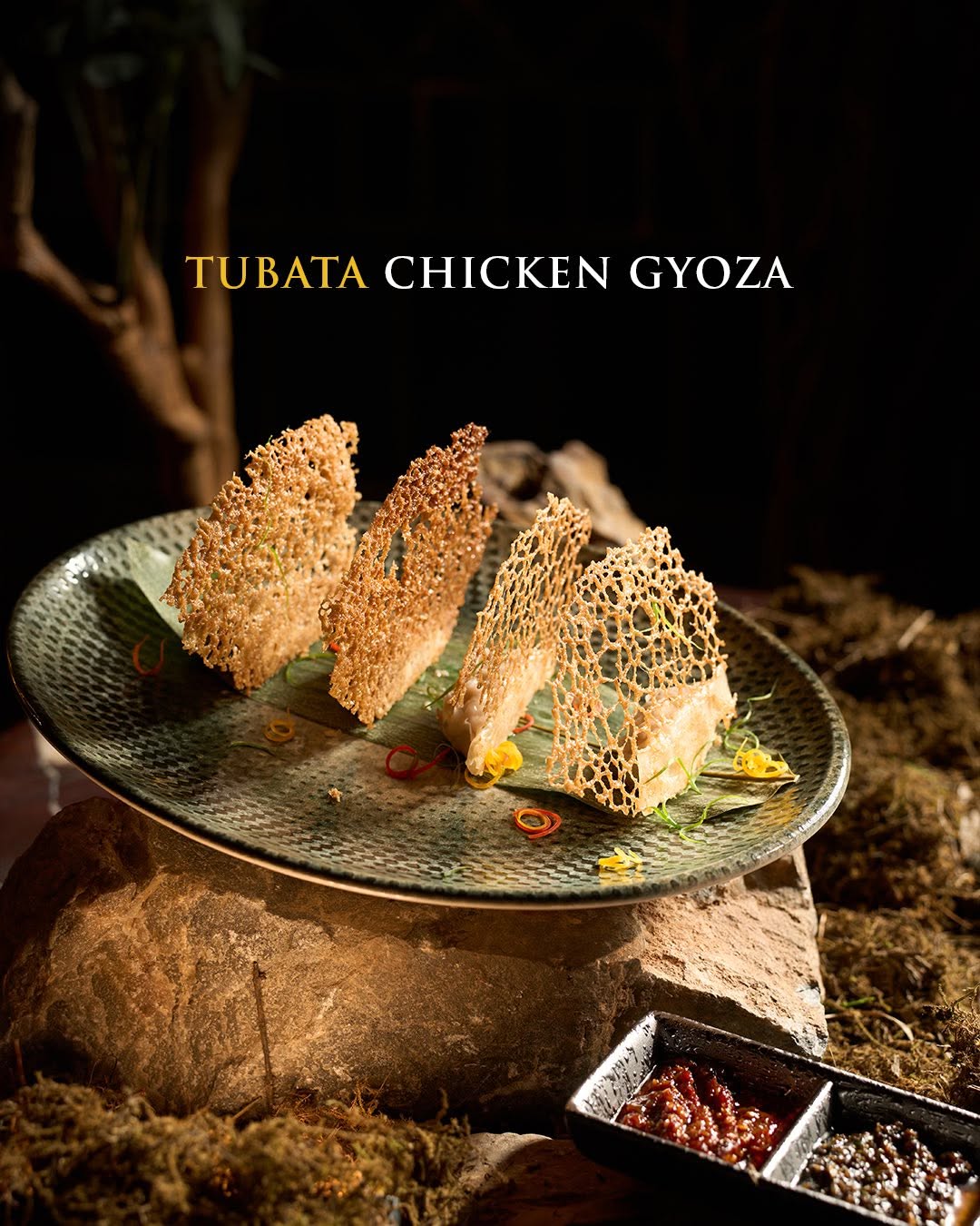 Menu2 at TUBATA