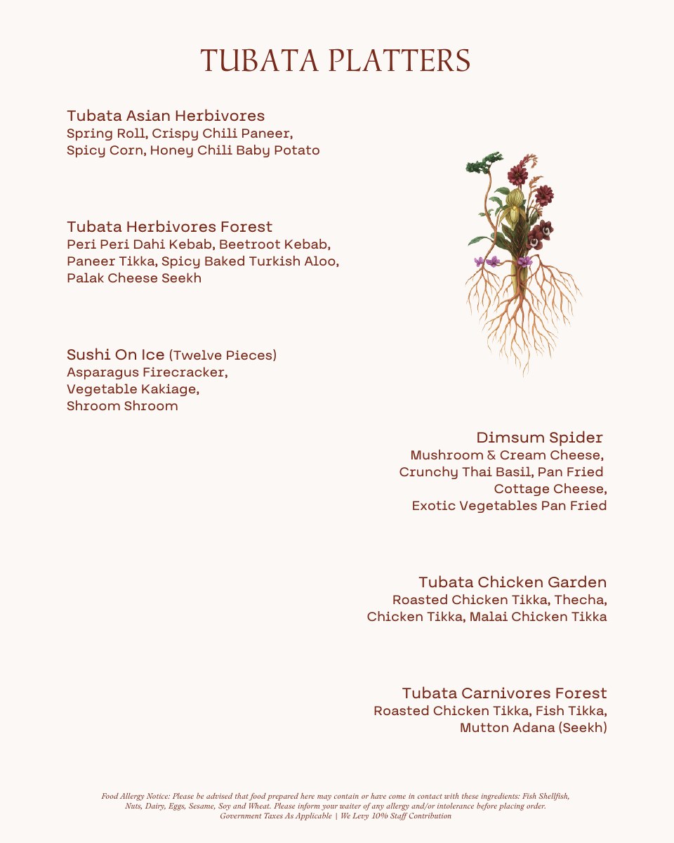 TUBATA Menu 2026 — page 15